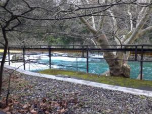 Stage Avignon mars 2018 (11)